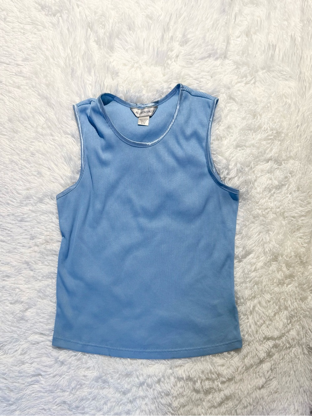 Allison Daley Sleeveless Tops Bundle Lot of 2 Blue Magenta Size L / PL - Picture 4 of 10